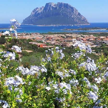 Le Case Del Mare Porto San Paolo  Eksteriør bilde