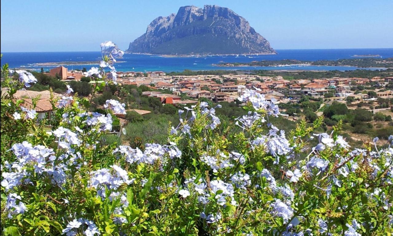 Le Case Del Mare Porto San Paolo  Eksteriør bilde