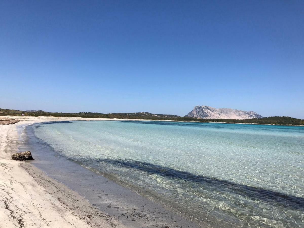Le Case Del Mare Porto San Paolo  Eksteriør bilde