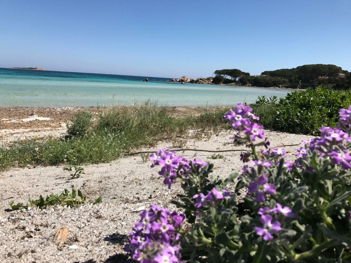 Le Case Del Mare Porto San Paolo  Eksteriør bilde